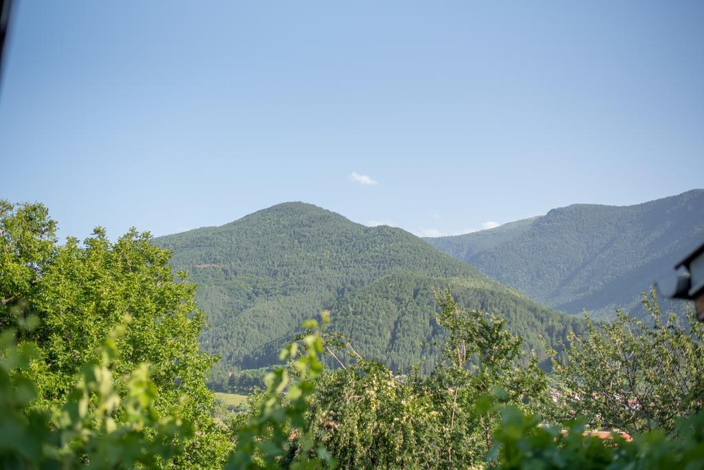 Guesthouse Juli Sapareva Banja Exteriér fotografie