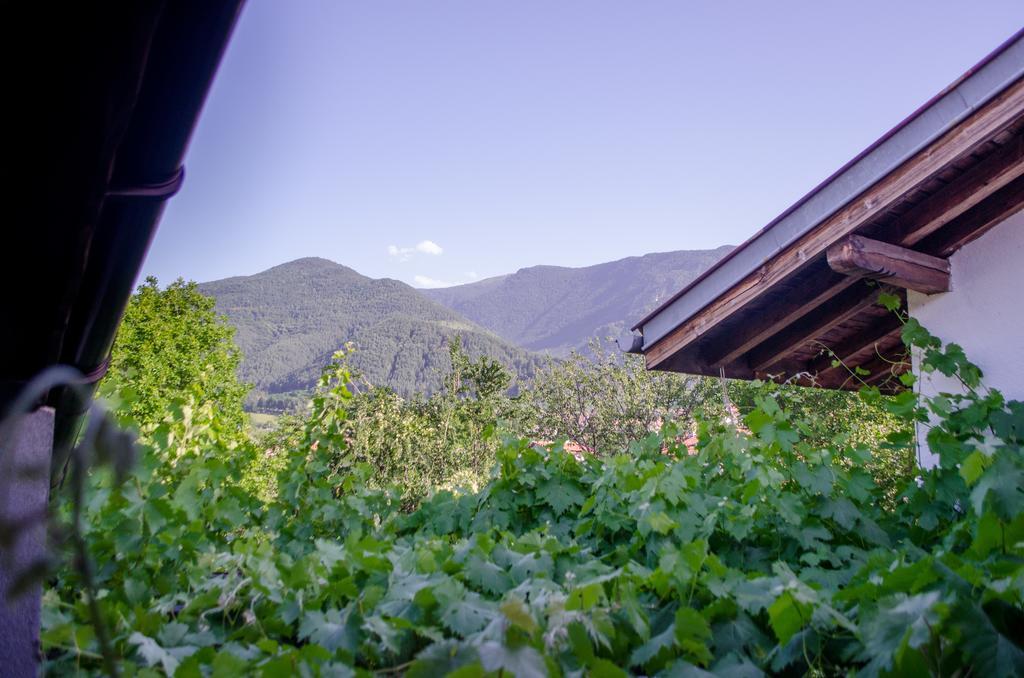 Guesthouse Juli Sapareva Banja Exteriér fotografie