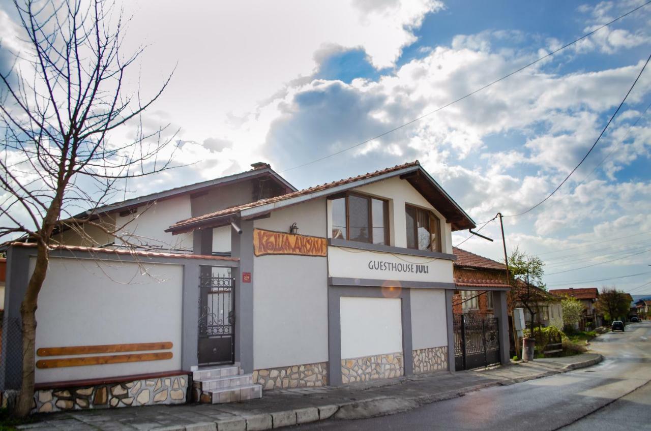 Guesthouse Juli Sapareva Banja Exteriér fotografie