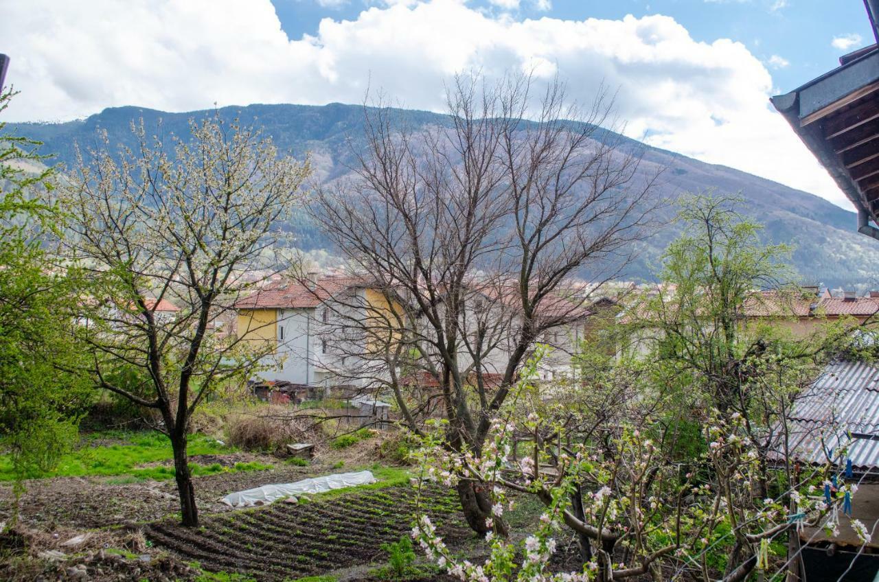 Guesthouse Juli Sapareva Banja Exteriér fotografie