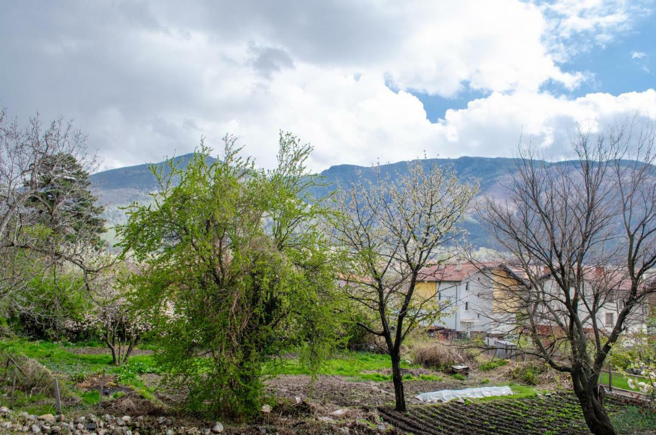 Guesthouse Juli Sapareva Banja Exteriér fotografie