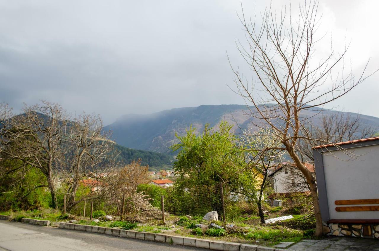 Guesthouse Juli Sapareva Banja Exteriér fotografie